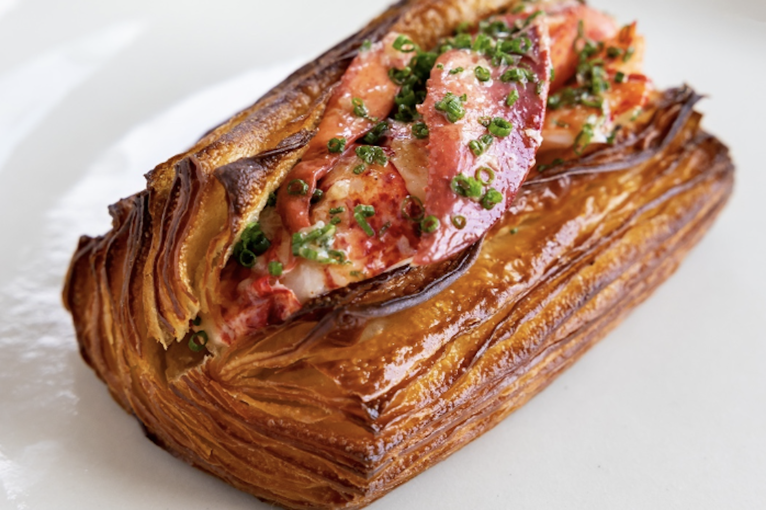 lobster roll from twelve in portland maine