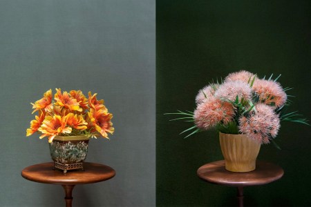 POSIES