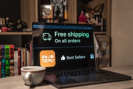 Temu Review: What Is Temu and Why Is It Suddenly America’s Most Popular App?