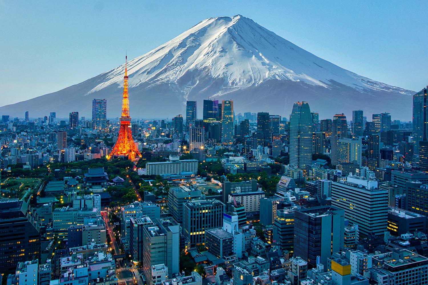 Mt. Fuji and Tokyo skyline. 35% of Japanese respondents to a Morning Consult survey say they never want to travel again.