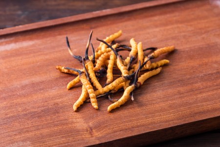 It’s Possible You’ve Taken the Deadly Fungus From “The Last of Us”