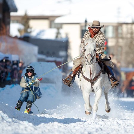 Skijoring