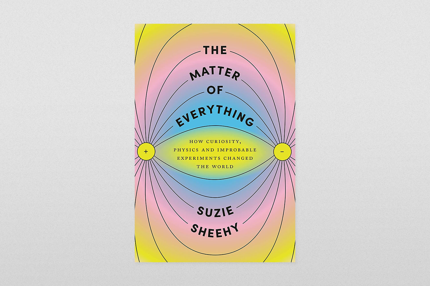 The Matter of Everything- How Curiosity, Physics, and Improbable Experiments Changed the World