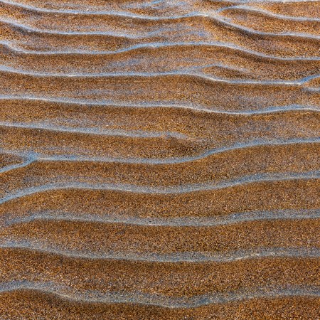 Waves of brown sand.