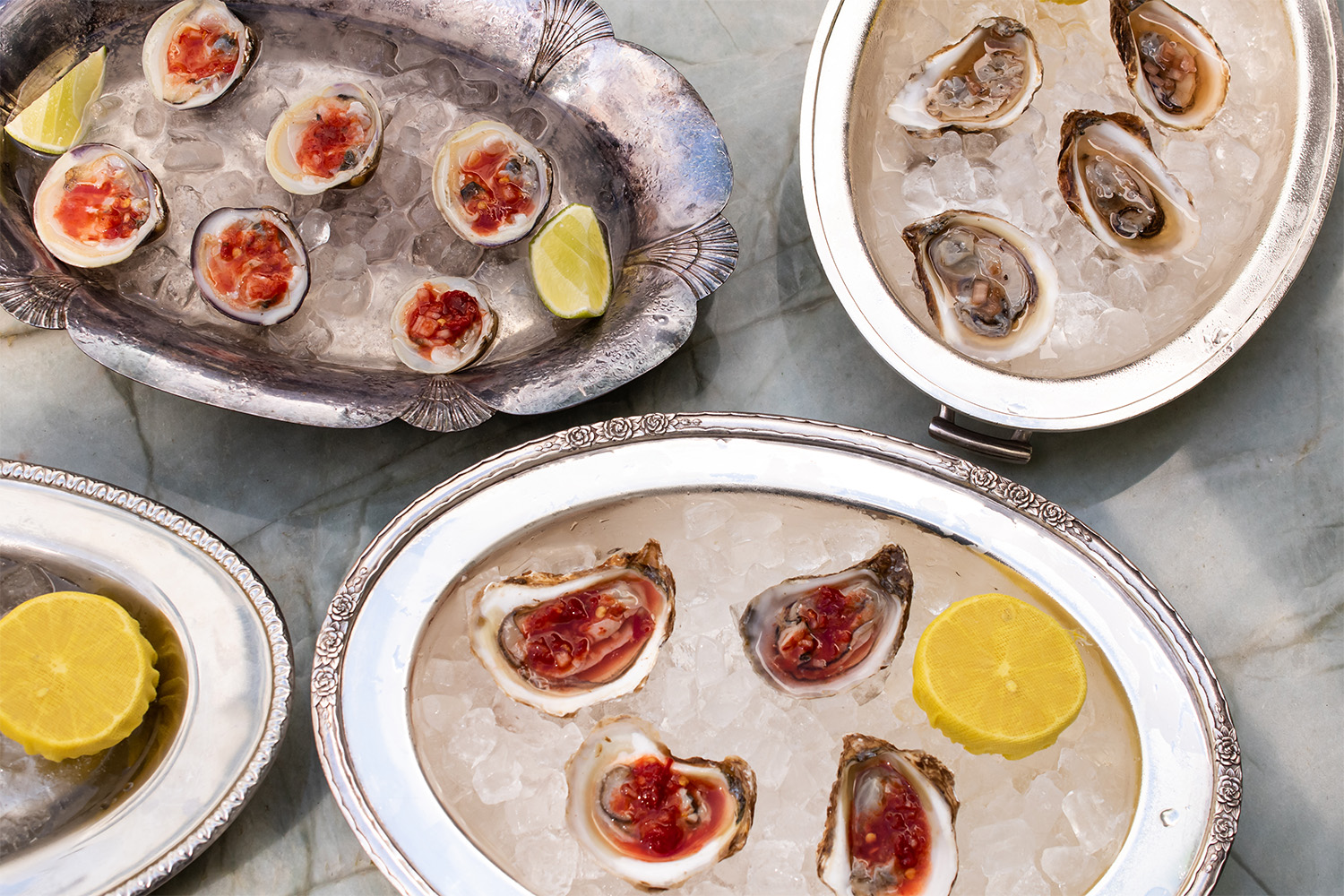 Oysters from Joilet