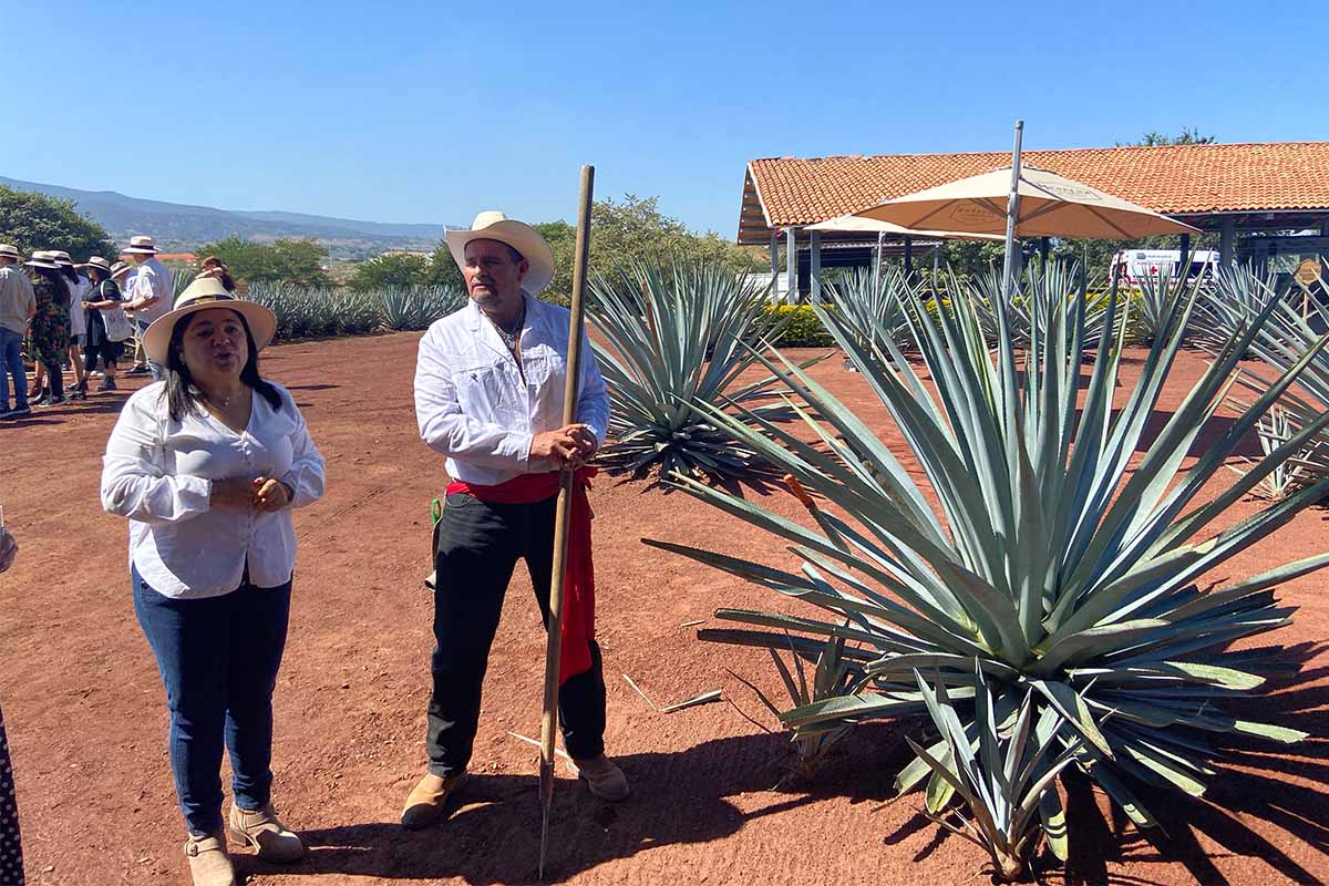 Jose Cuervo's Sonia de la Espinola and a jimador in the agave fields