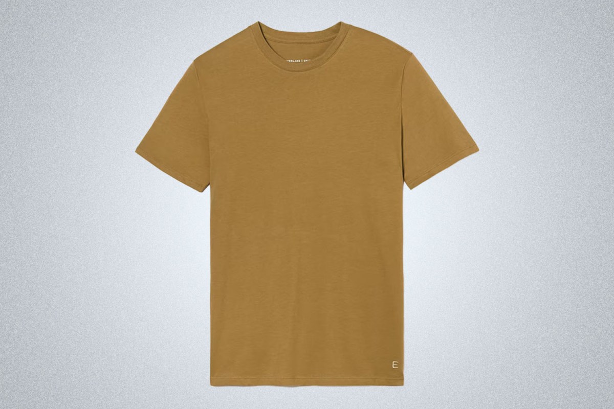 Everlane The Organic Cotton Crew
