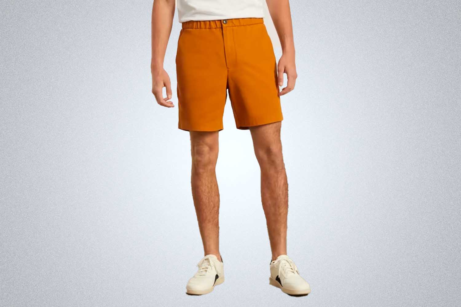 Everlane Pull-On Performance Chino Short