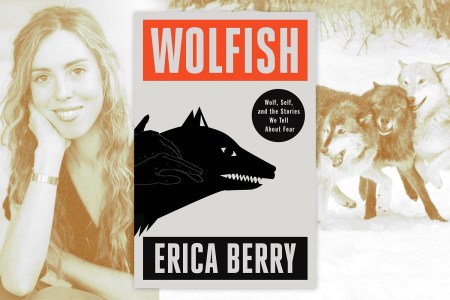 Exploring the Secret History of Wolves