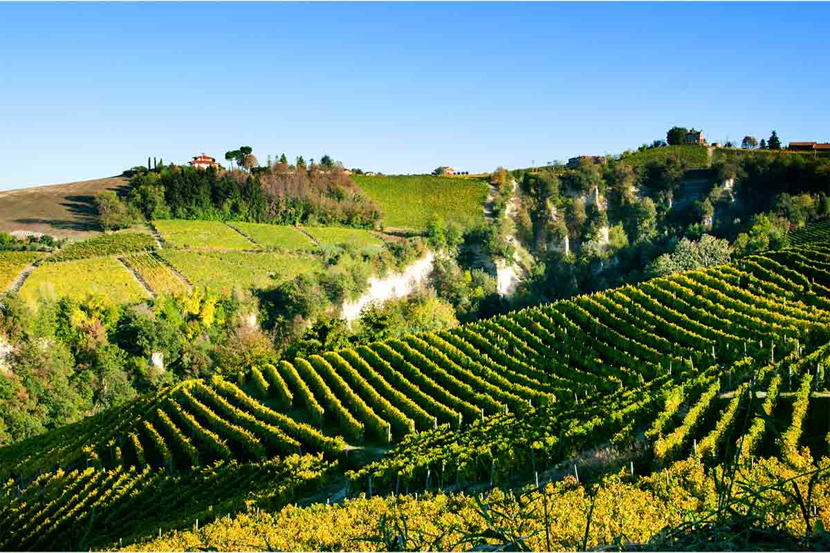 In 1993, Asti in Italy was awarded DOCG protection. A vineyard from the area is pictured here.