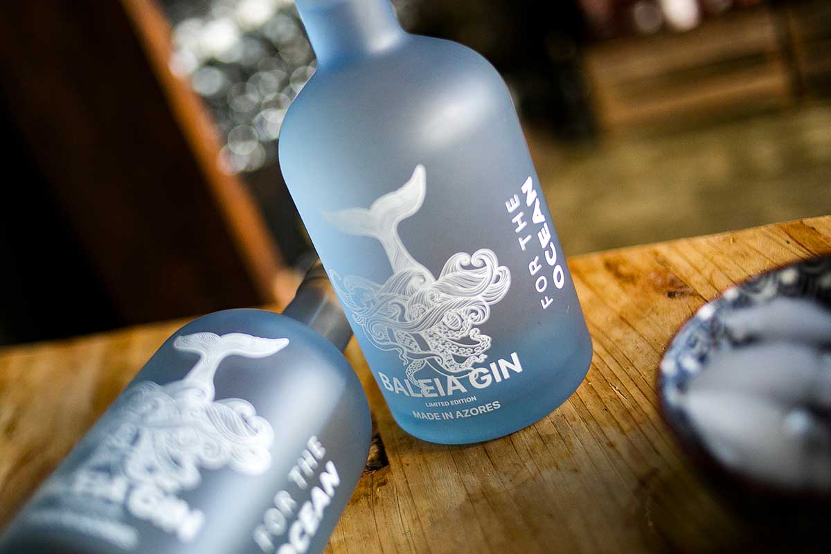 Two bottles of Baleia Gin on a table