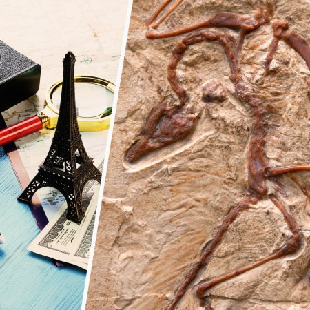 a camera, model airplane and model Eiffel tower next to a dinosaur fossil