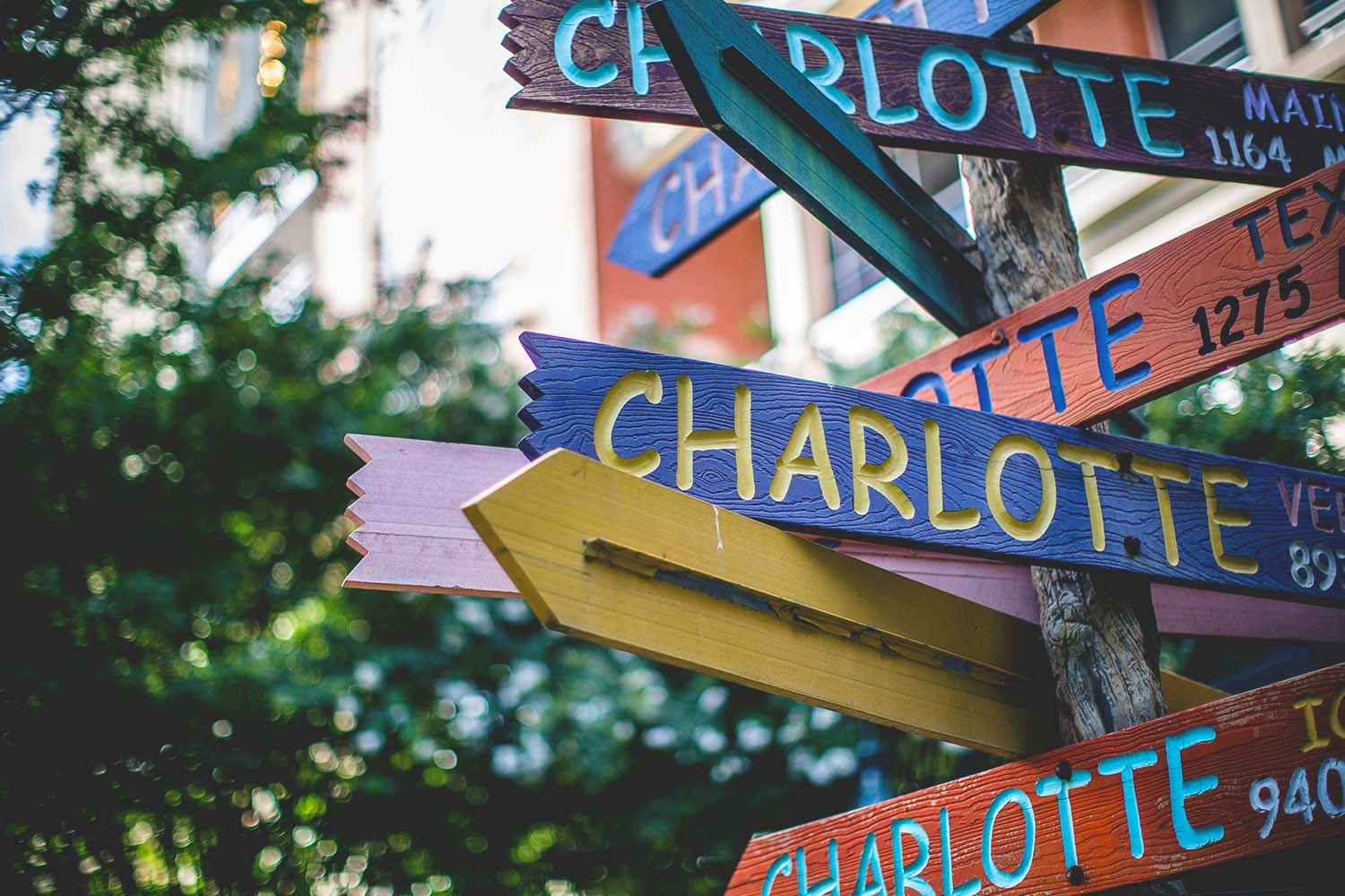 Charlotte signs