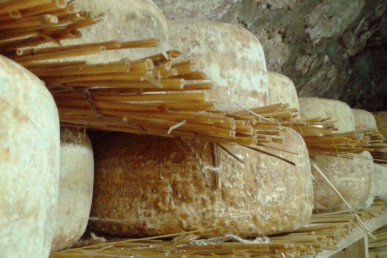 Fromagerie Quatrehomme's smoked goat cheese aged in Nikka whiskey is not to be missed.