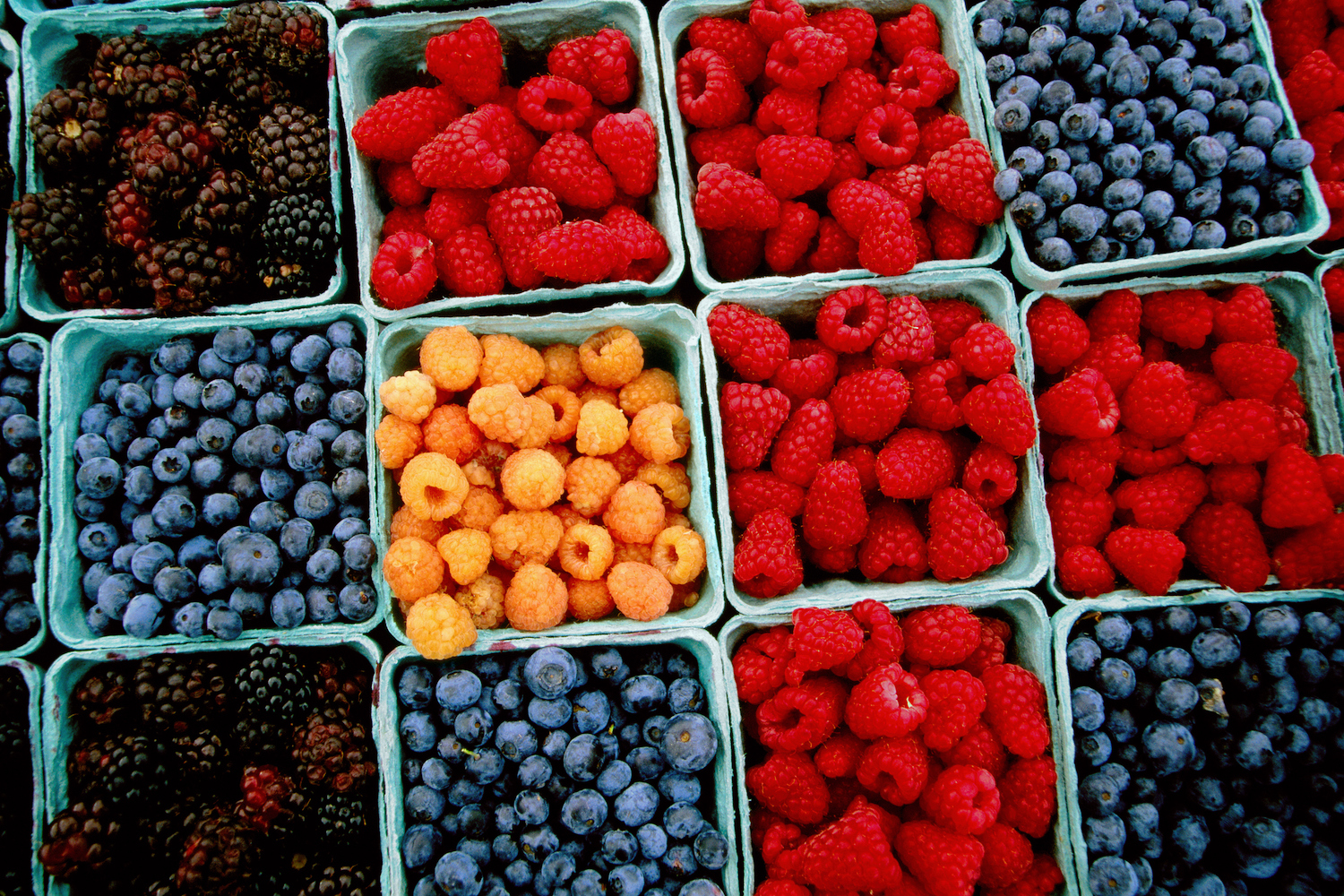 Raspberry, blueberry and blackberry punnets at Farmers Market