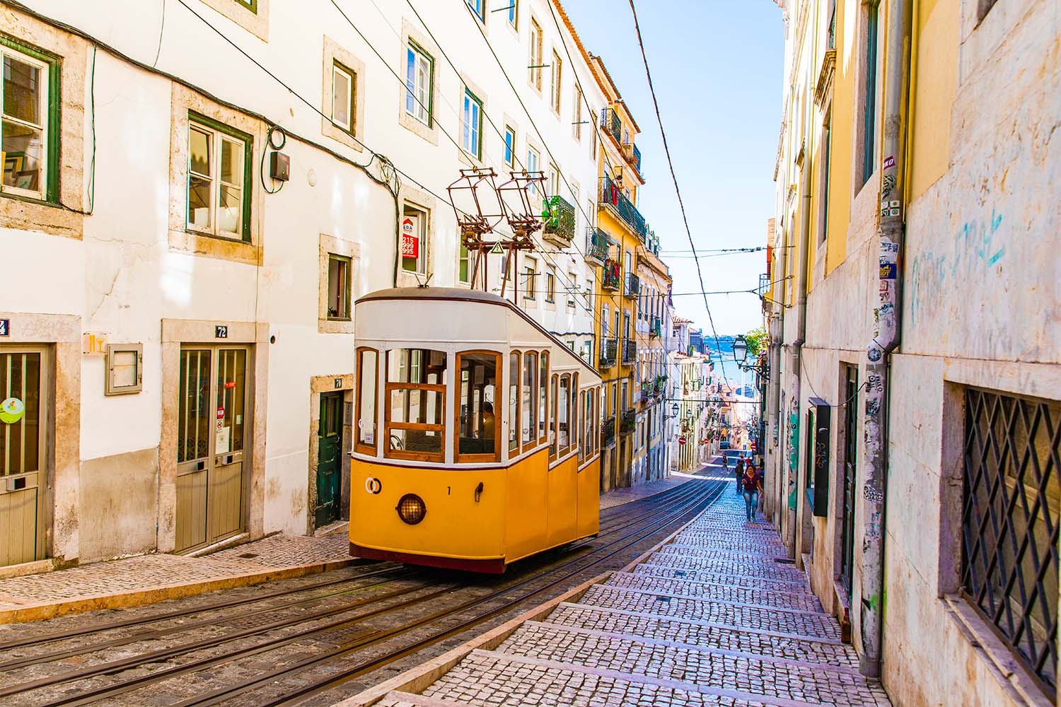The trams come totally recommended