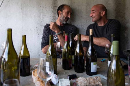 Avoiding Natural Wine? An Expert Wants You to Reconsider.