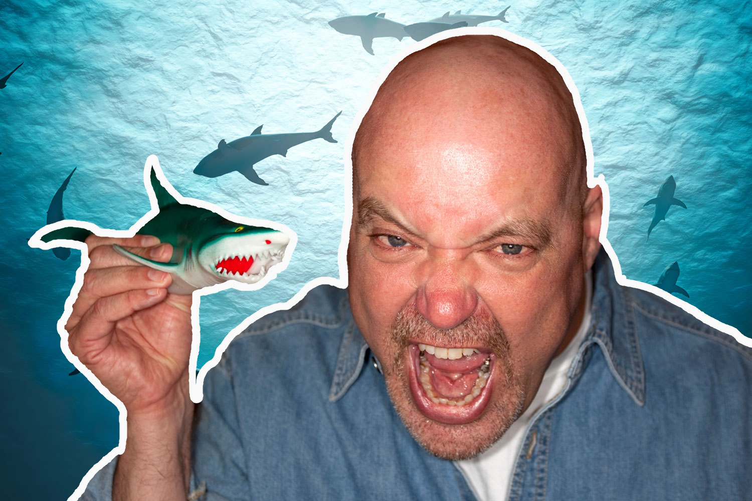 The ocean's apex predator never stops moving forward. This concept has become a calling card for businessmen throughout the country. 