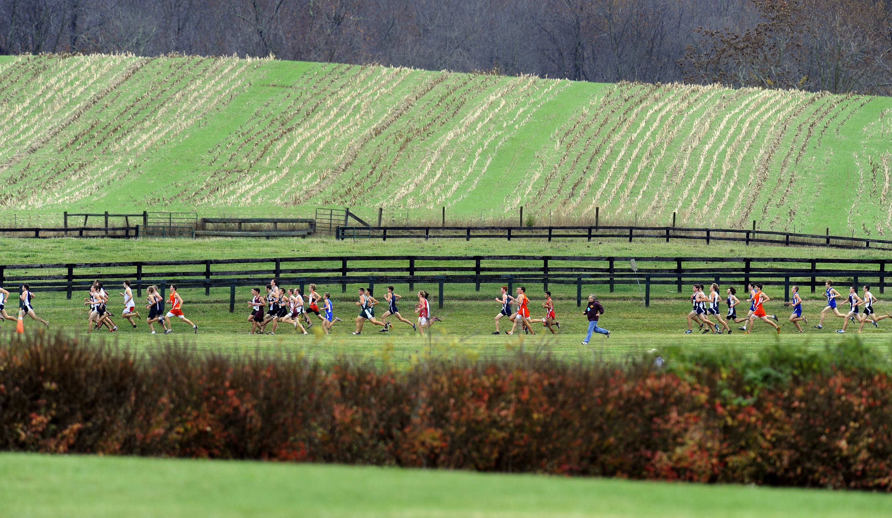 A group of young runners racing through a field.