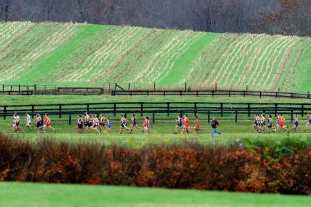 A group of young runners racing through a field.