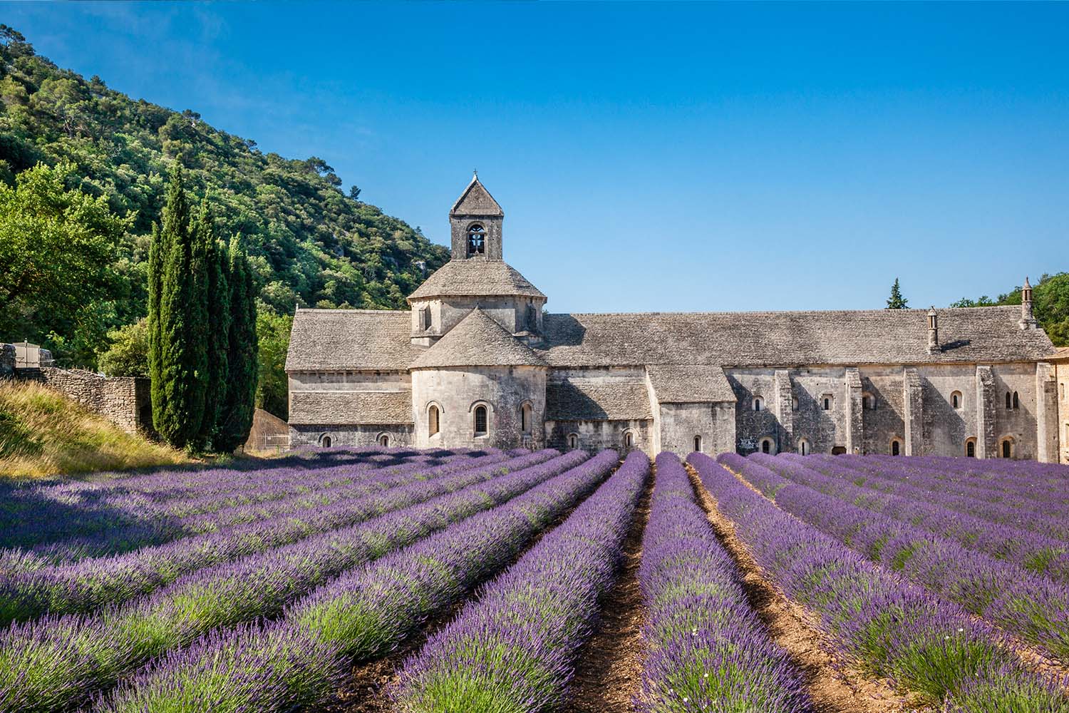 Abbaye Notre-Dame de Sénanque