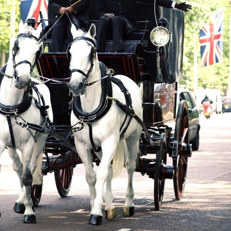 Unclear if "Horse and Carriage XL" will be an option