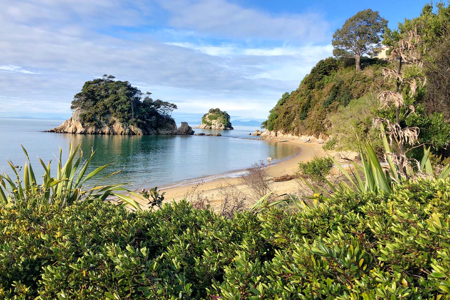 Kaiteriteri beach in Abel Tasman
