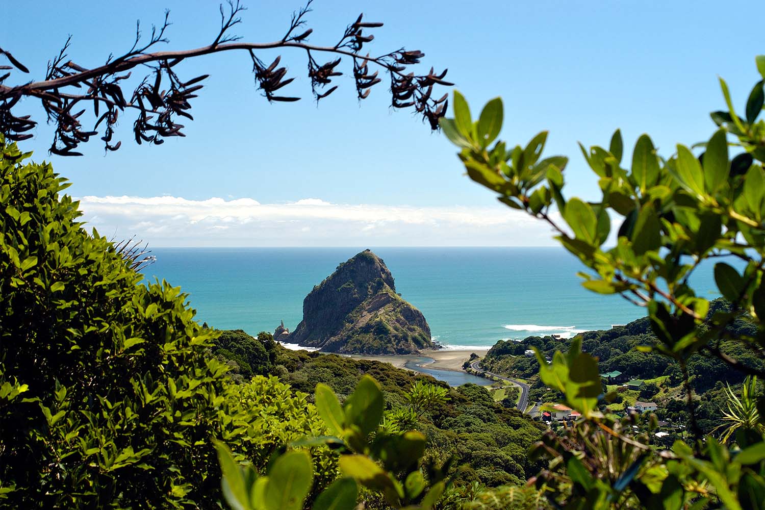 Piha Black Sand beaches