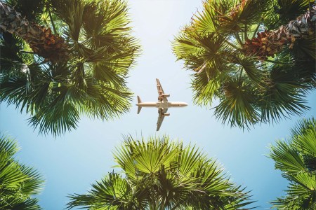Get Ready for Another Summer of Travel Mayhem