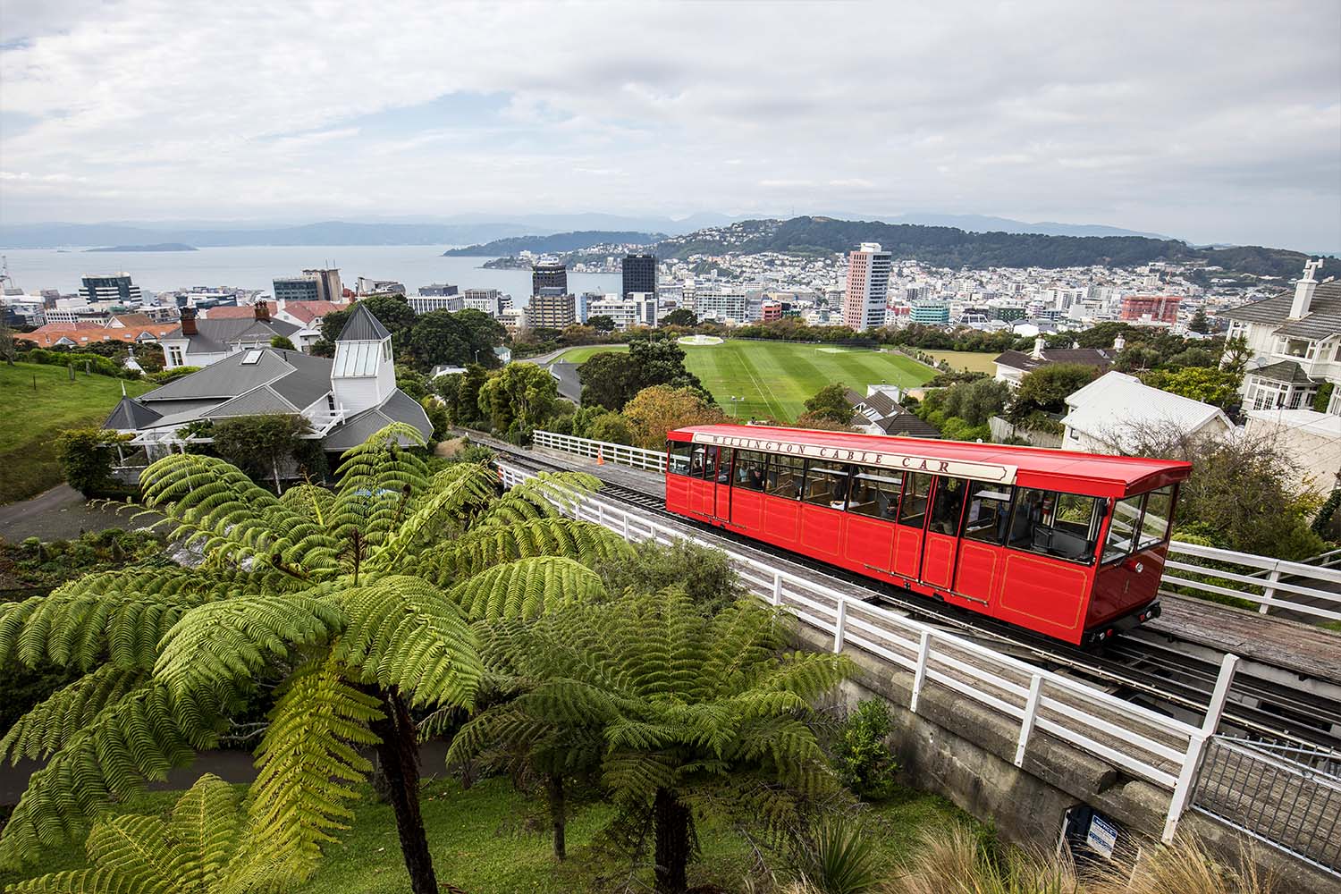 Wellington City