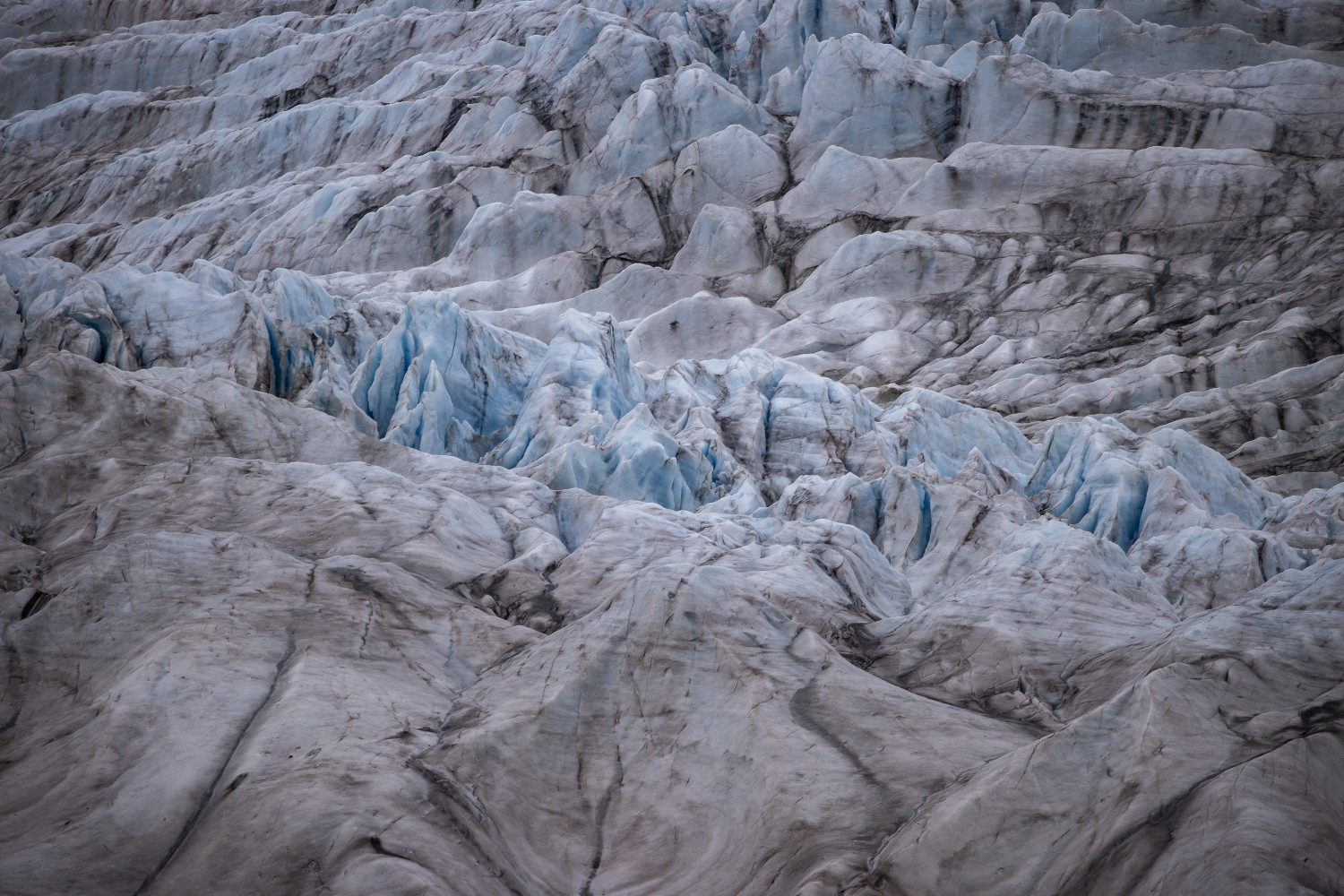 An Arctic fjord. A new study has found that microplastics have infiltrated Arctic ice algae.