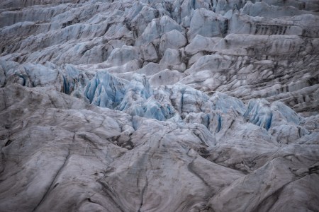 Oh Great, Now Microplastics Are in Arctic Ice Algae