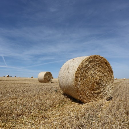 Hay bales