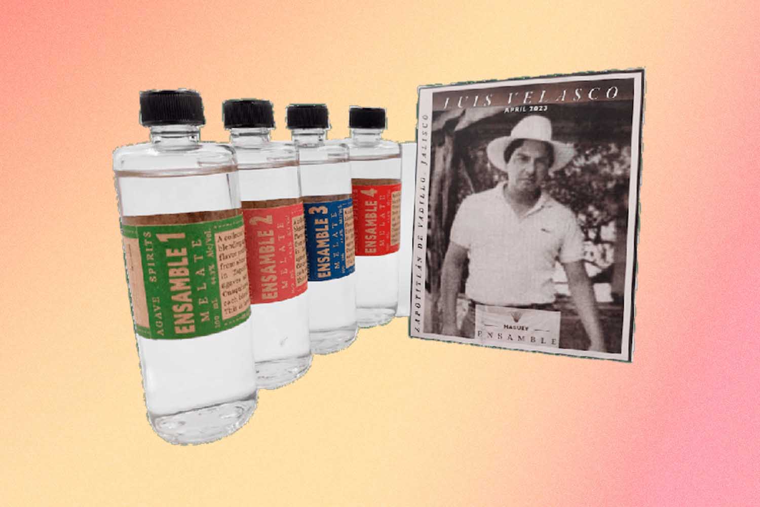 Maguey Melate