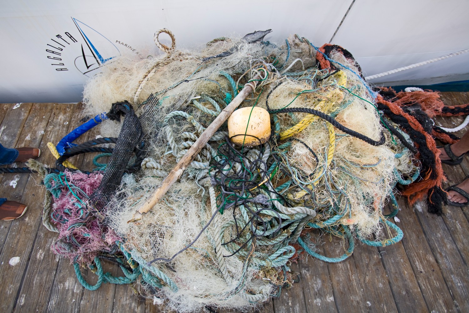 Pacific trash