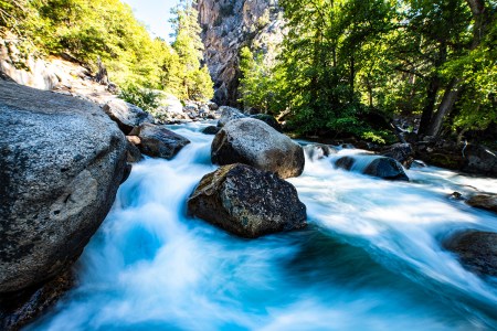 Scenic view of waterfall in forest,Kings Canyon National Park,California,United States,USA