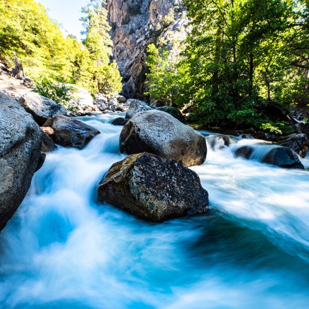 Scenic view of waterfall in forest,Kings Canyon National Park,California,United States,USA