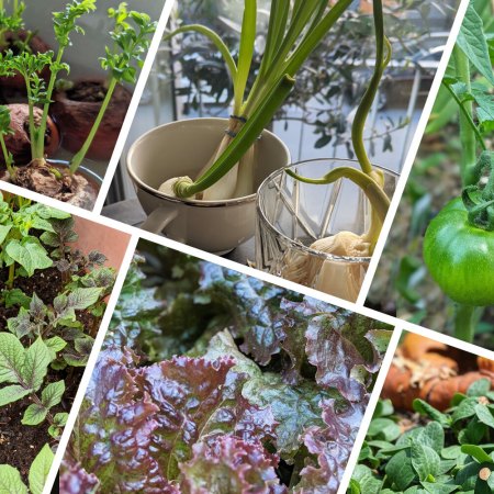 how to start a spring garden