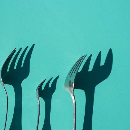 Forks