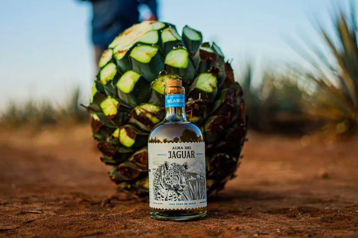 Alma Del Jaguar Blanco