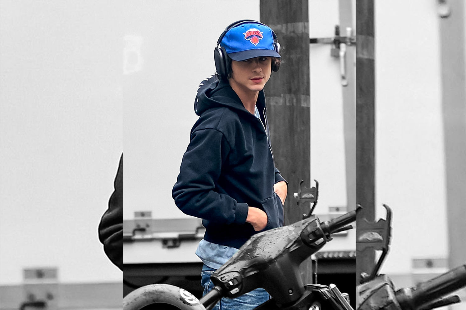 a photo of Timothee Chalamet with a greyed-out background