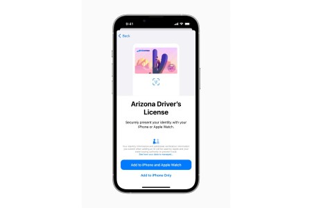 Apple State ID