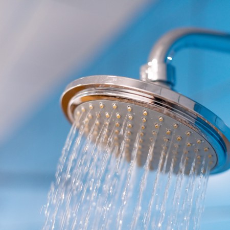 A cold shower nozzle.