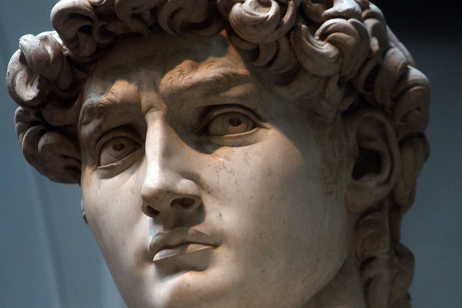 The head of "David"