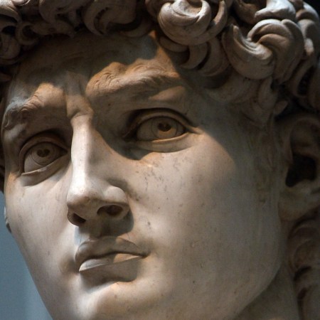 The head of "David"