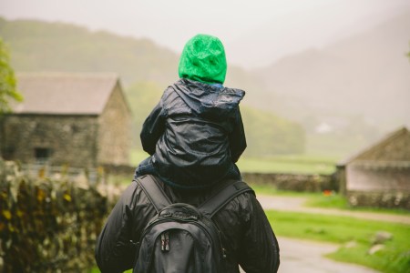 A kid sitting on his dad's shoulders outside on a walk.