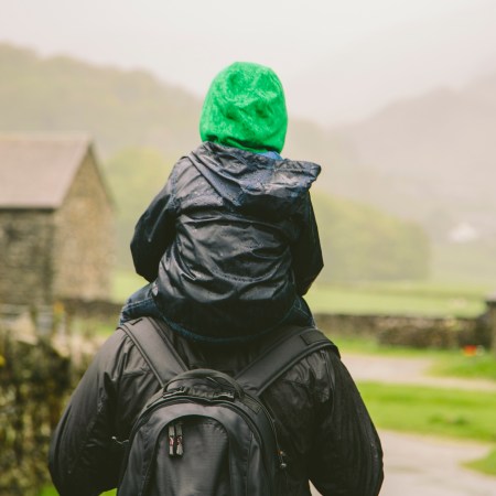 A kid sitting on his dad's shoulders outside on a walk.