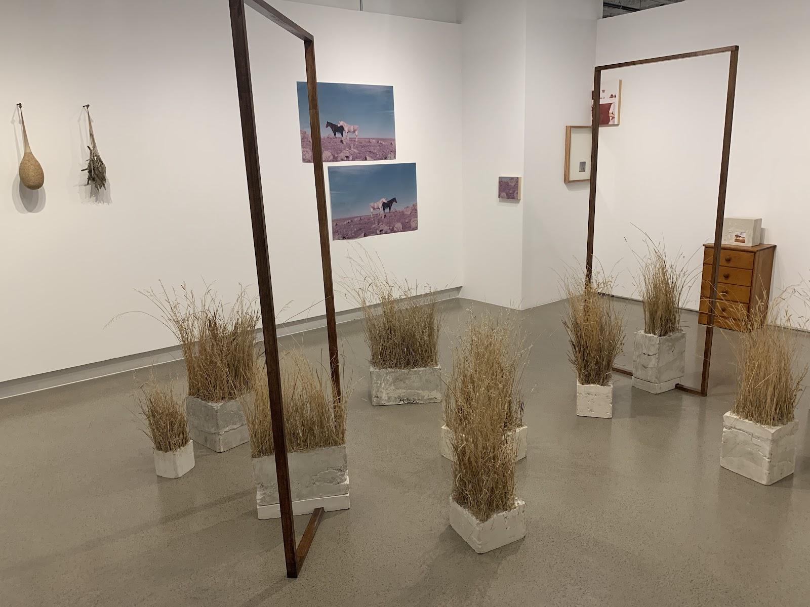 art exhibit from chicago graduate