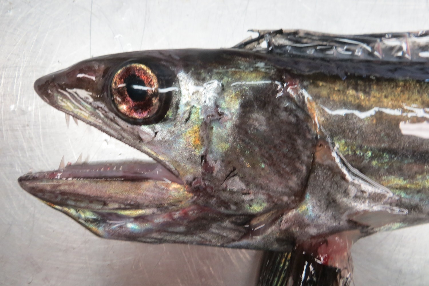 lanternfish