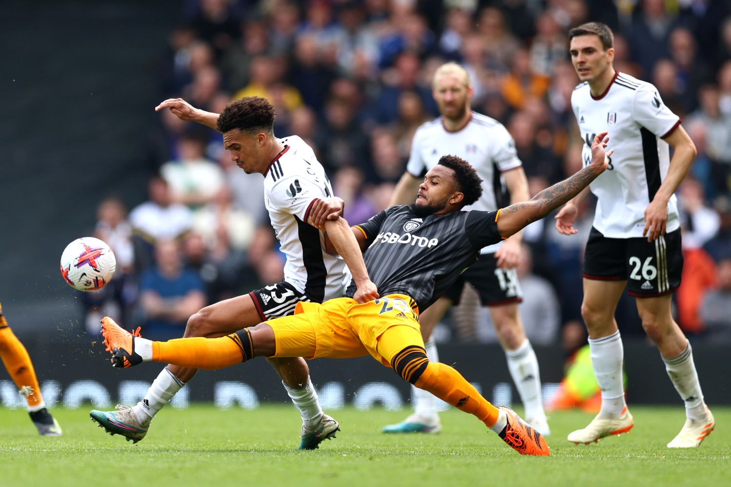 Leeds-Fulham game